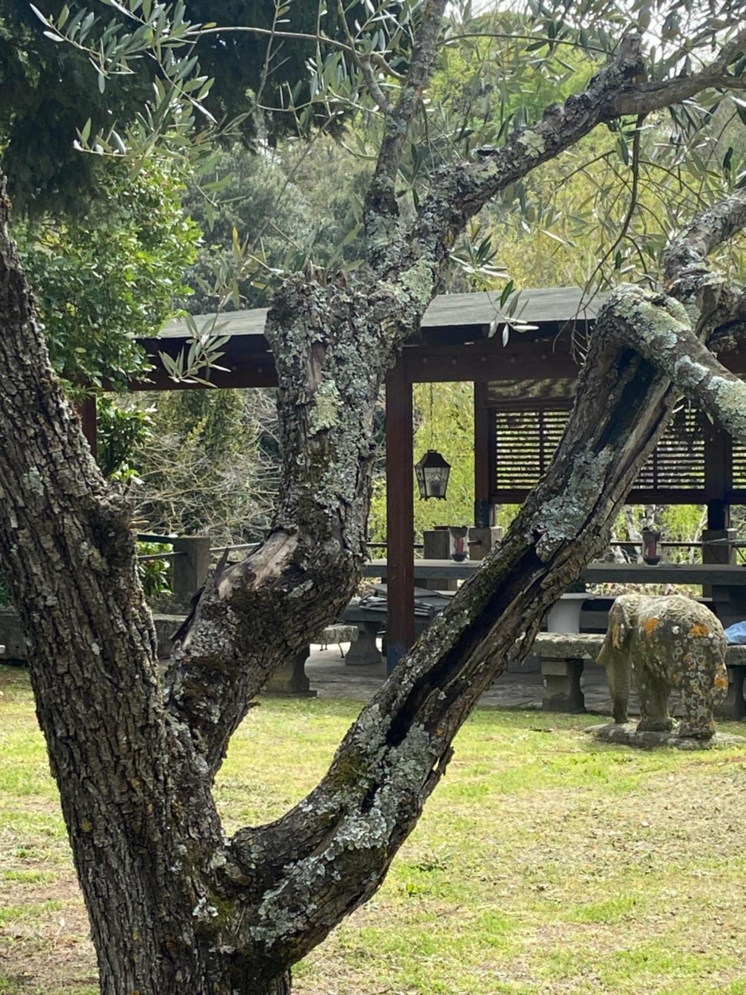 Il Castelletto Della Palanzana Villa Viterbo Buitenkant foto